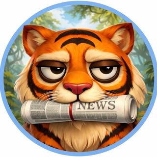 Tiger News
