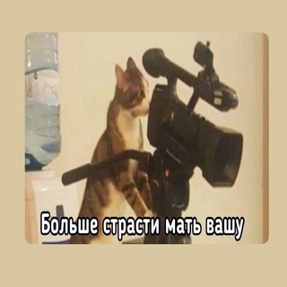 Casting by Bagirova